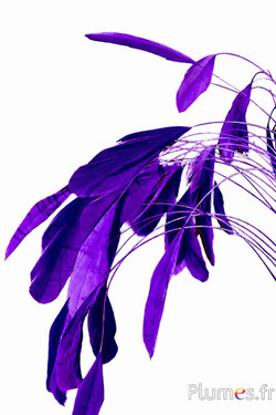 Coquetips - 13-18 cm - aubergine